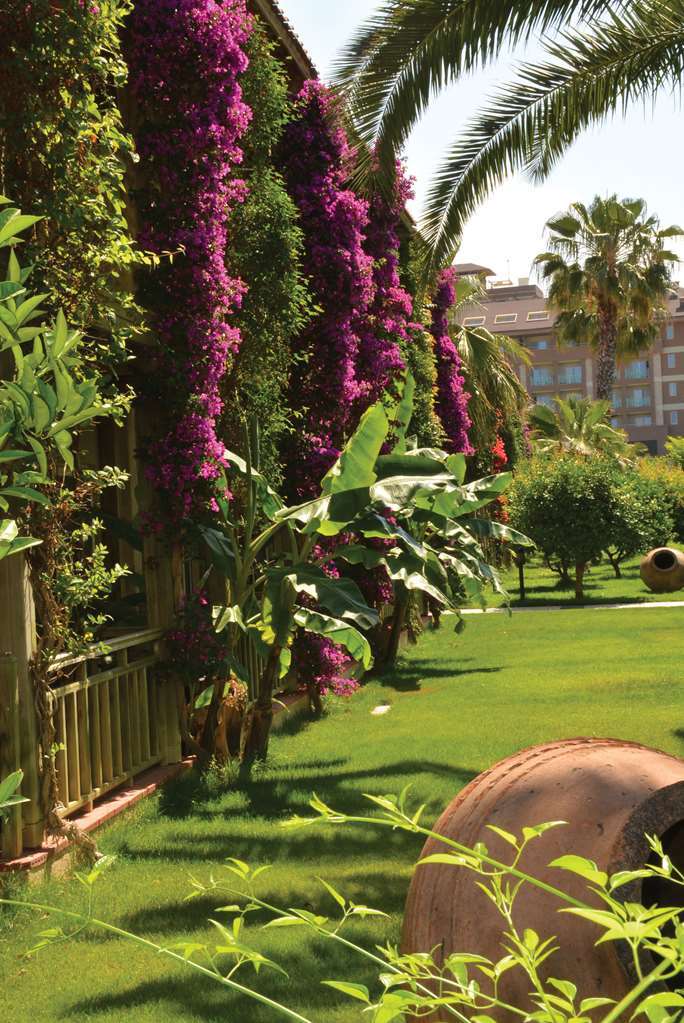 Resort Paloma Oceana
